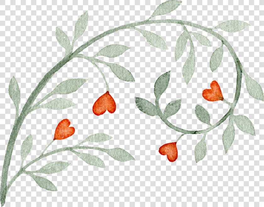 Love Gray Vine Decoration Vector   Portable Network Graphics  HD Png DownloadTransparent PNG