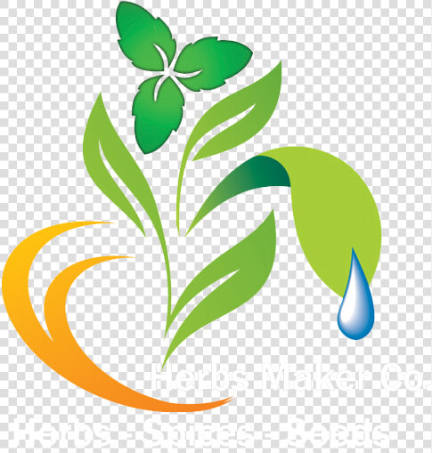 Herbs Logo Png  Transparent PngTransparent PNG