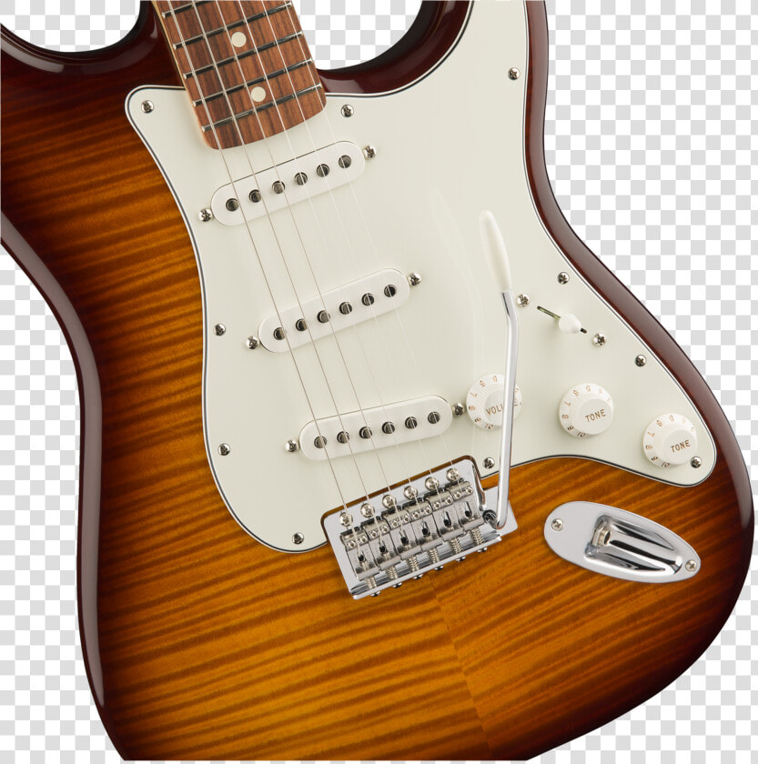 Fender Standard Stratocaster Plus Top  Pau Ferro Fingerboard  HD Png DownloadTransparent PNG