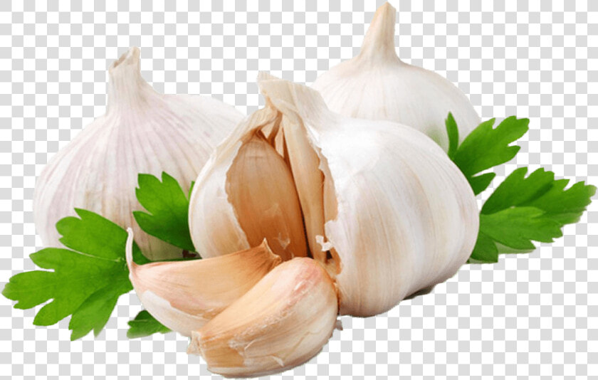 Garlic Coriander   Garlic Png  Transparent PngTransparent PNG