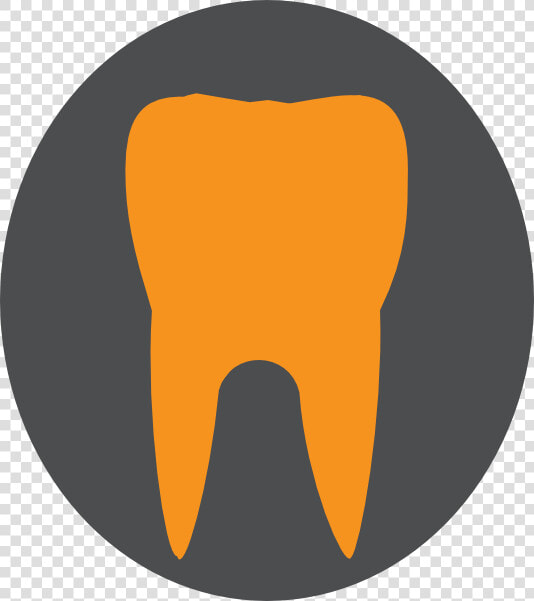 Orange gray Tooth Svg Clip Arts  HD Png DownloadTransparent PNG