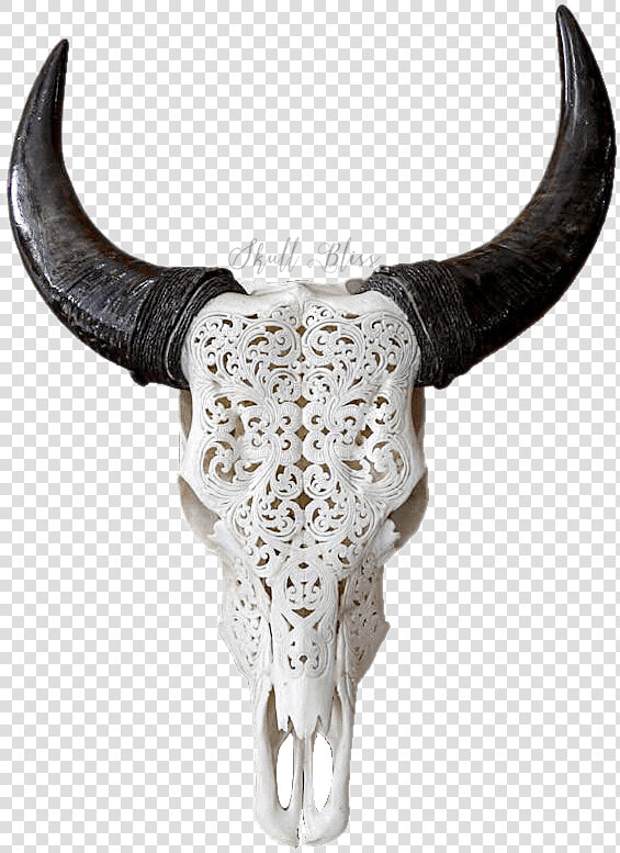 Texas Longhorn English Longhorn Skull Goat   Carved Cow Skull  HD Png DownloadTransparent PNG