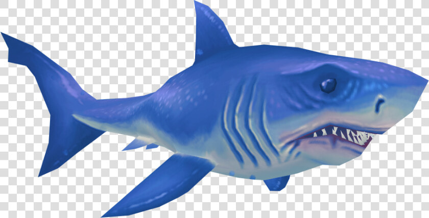 Great White Shark Png   Great White Shark  png Blue  Transparent PngTransparent PNG