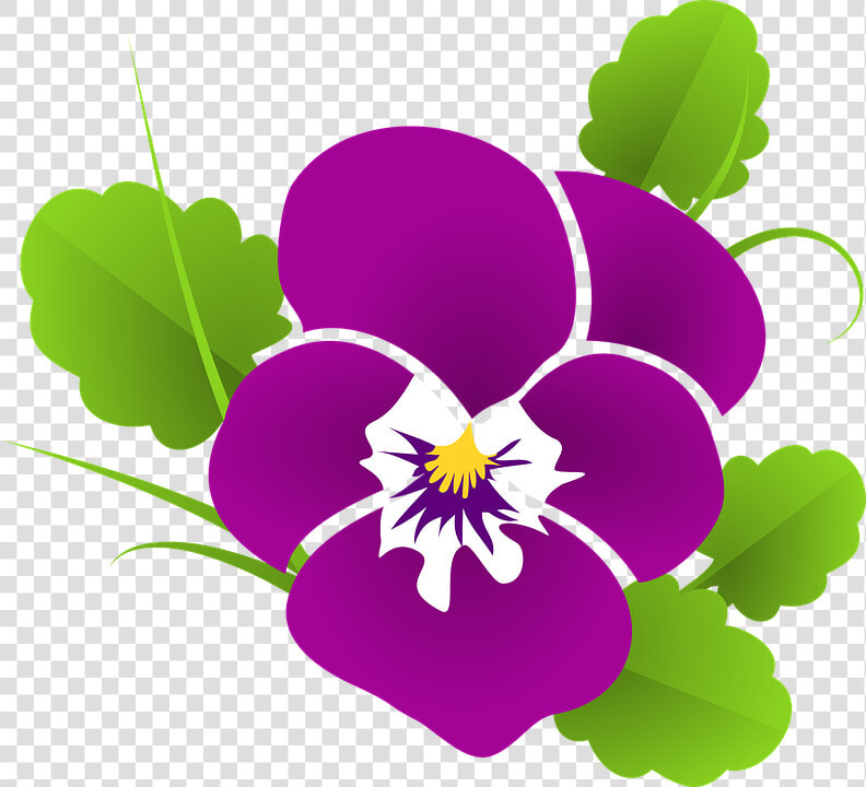 Stiefmütterchen  Veilchen  Viola  Violaceae  Blüte   New Beautiful Wishes Morning  HD Png DownloadTransparent PNG