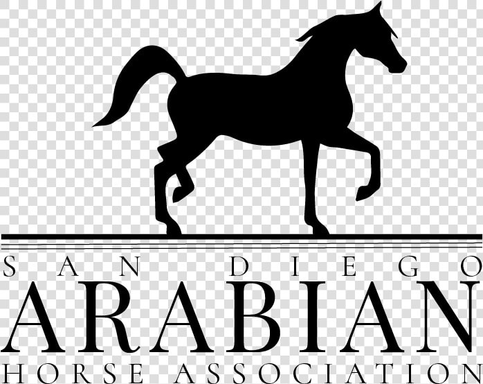 Arabian Show Horse Logo   Png Download   Arabian Horse Association Logo  Transparent PngTransparent PNG