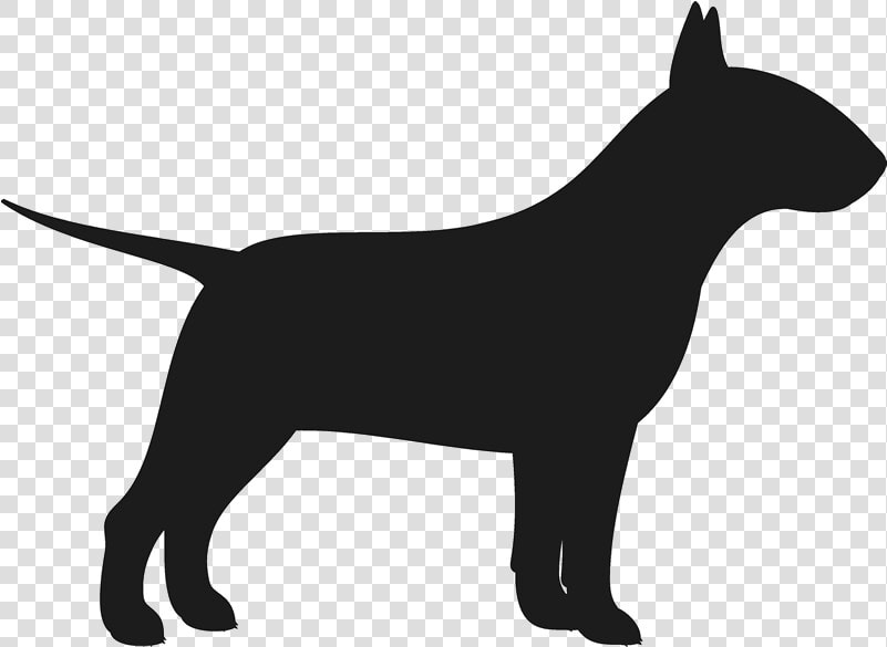 Transparent Bull Terrier Png   English Bull Terrier Silhouette  Png DownloadTransparent PNG