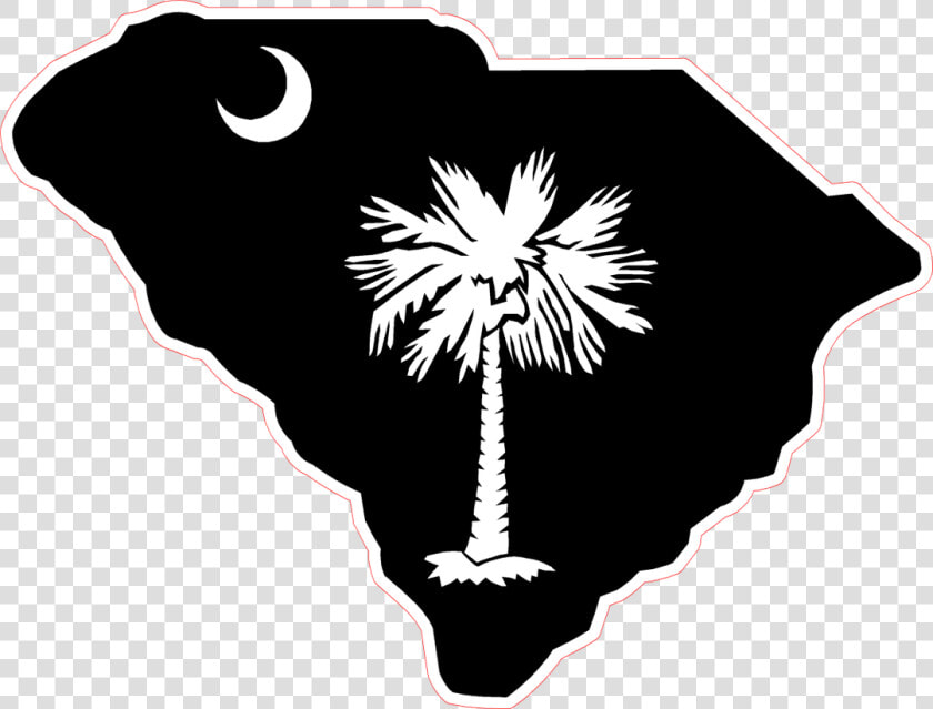 Flag Of South Carolina Berkeley County  South Carolina   South Carolina Myrtle Beach Logo  HD Png DownloadTransparent PNG