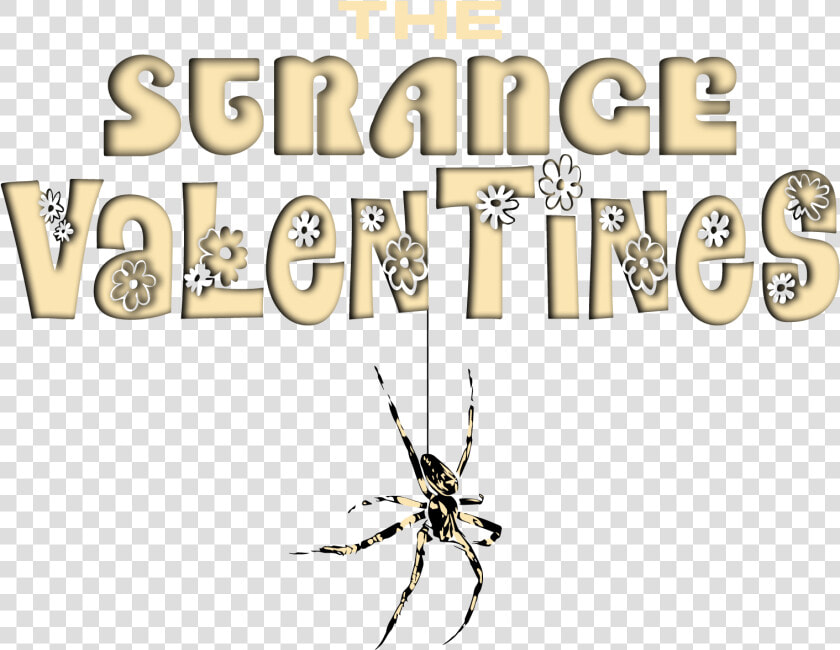 Tangle web Spider  HD Png DownloadTransparent PNG