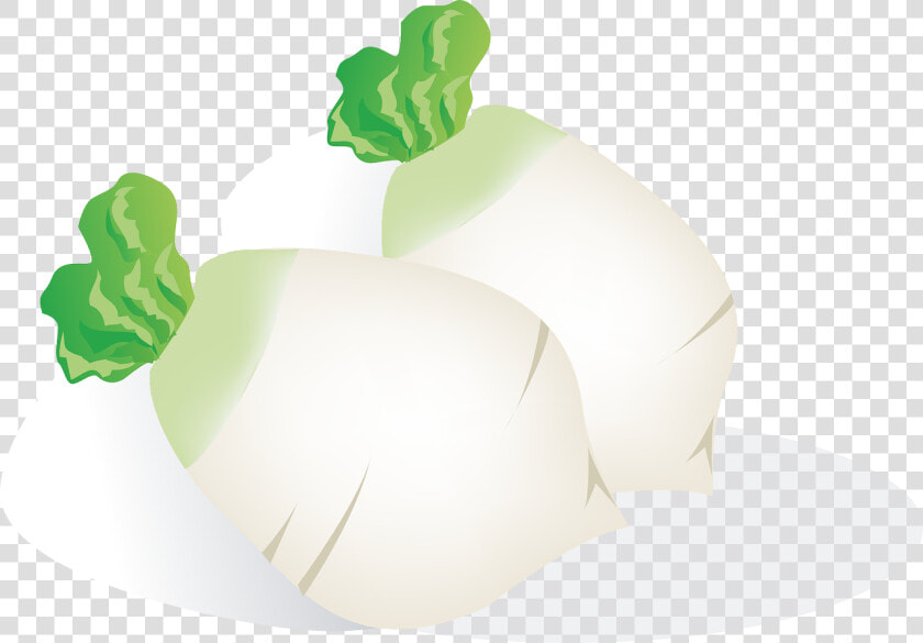 Radish Vegetables Food Free Picture   รูป หัว ไช เท้า การ์ตูน  HD Png DownloadTransparent PNG