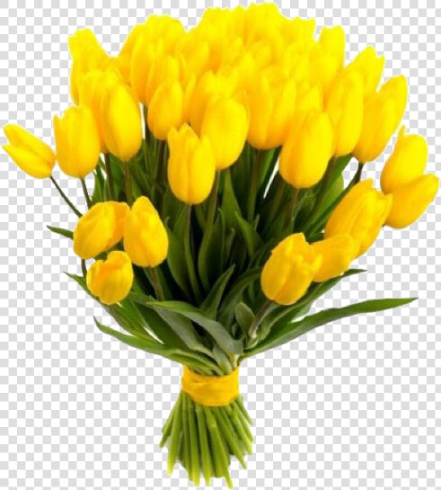 Yellow Tulips Png Free Background   Bouquet Tulipani Gialli E Mimosa  Transparent PngTransparent PNG