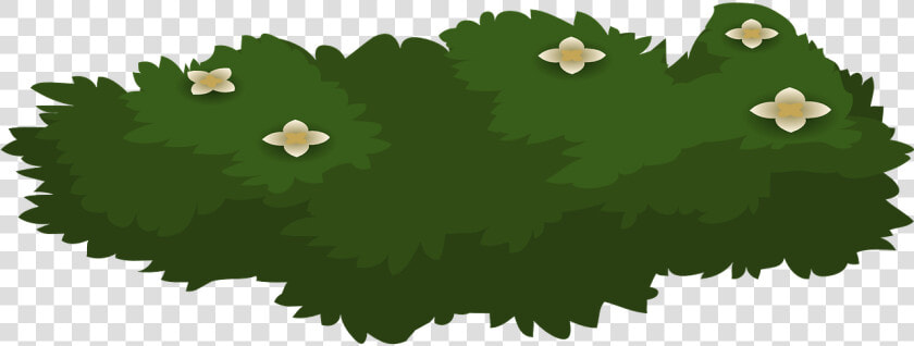 Bush  Plant  Flowers  Green  Nature  Garden  Park   Transparent Cartoon Bushes  HD Png DownloadTransparent PNG