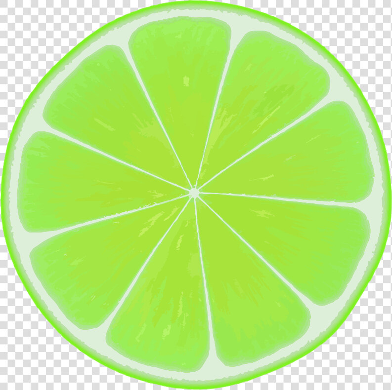 Lime Slice   Key Lime Transparent Drawing  HD Png DownloadTransparent PNG