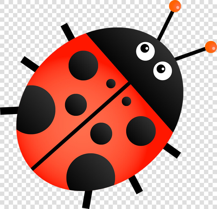 Ladybug  Insect  Animal  Cartoon  Bug  Beetle  Ladybird   Transparent Background Ladybug Clipart  HD Png DownloadTransparent PNG