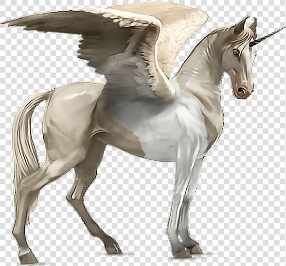  horse  alado  aladus  cavalo  asas  wings  mikah014   Akhal Tekini Howrse  HD Png DownloadTransparent PNG