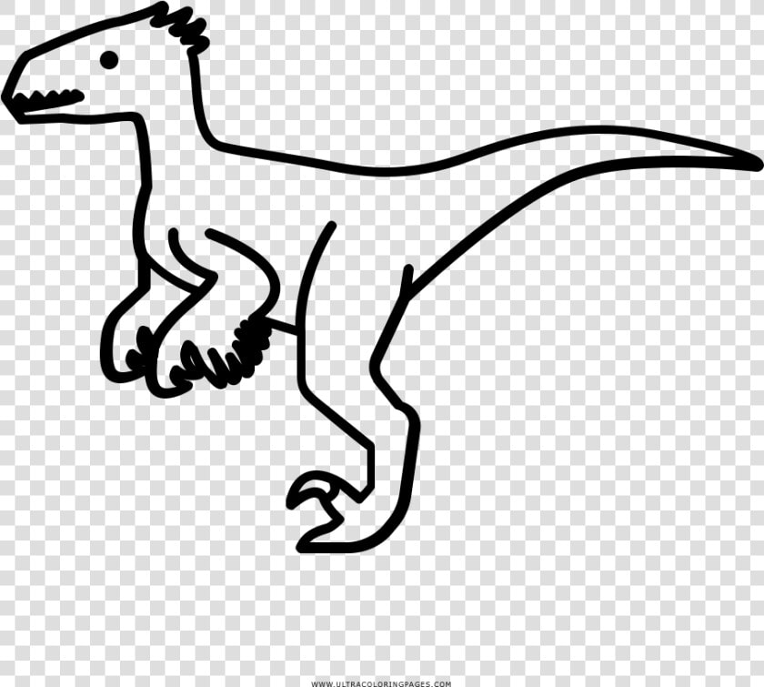 Velociraptor Coloring Page   Velociraptor Cute  HD Png DownloadTransparent PNG