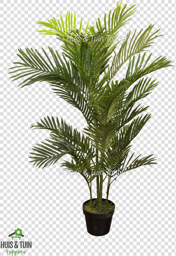 Kunstplant Areca Palm   Pond Pine  HD Png DownloadTransparent PNG