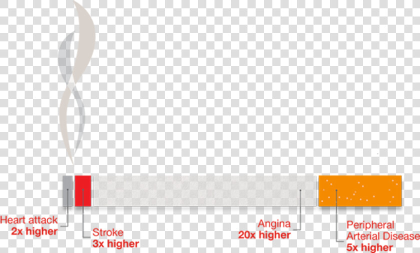 Cigarette Infographic Showing Risks Of Smoking   Statistical Graphics  HD Png DownloadTransparent PNG