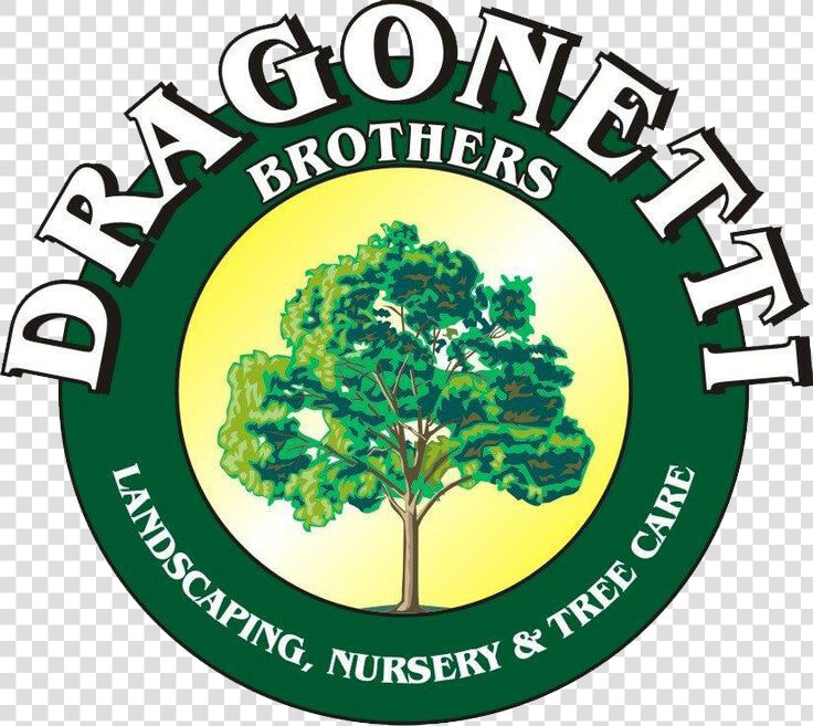 Dragonetti Brothers Landscaping  HD Png DownloadTransparent PNG