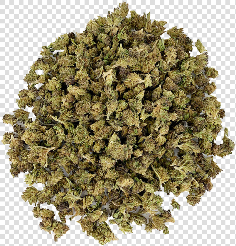 Biluochun Green Tea  HD Png DownloadTransparent PNG