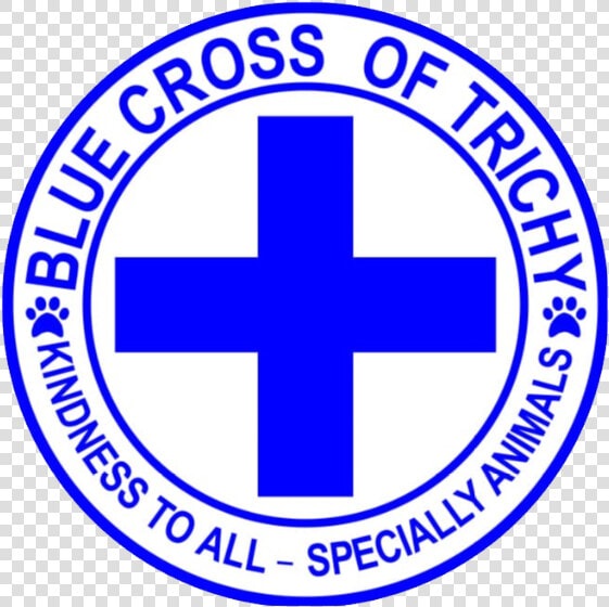 Blue Cross Of Trichy   Negros Oriental High School  HD Png DownloadTransparent PNG