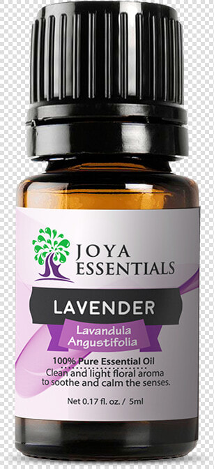 Lavender Essential Oil   Doterra Copaiba Transparent  HD Png DownloadTransparent PNG