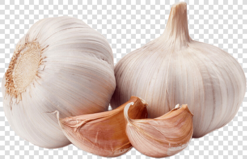 Garlic Duo   Garlic Png  Transparent PngTransparent PNG