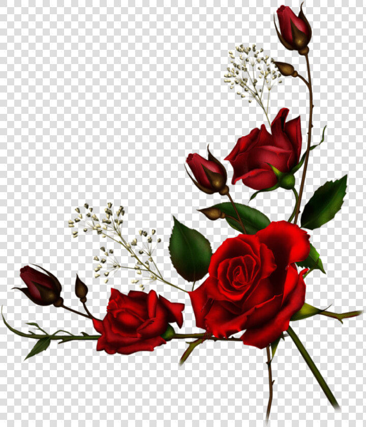 Transparent Vine Border Clipart   Red Roses Border Png  Png DownloadTransparent PNG