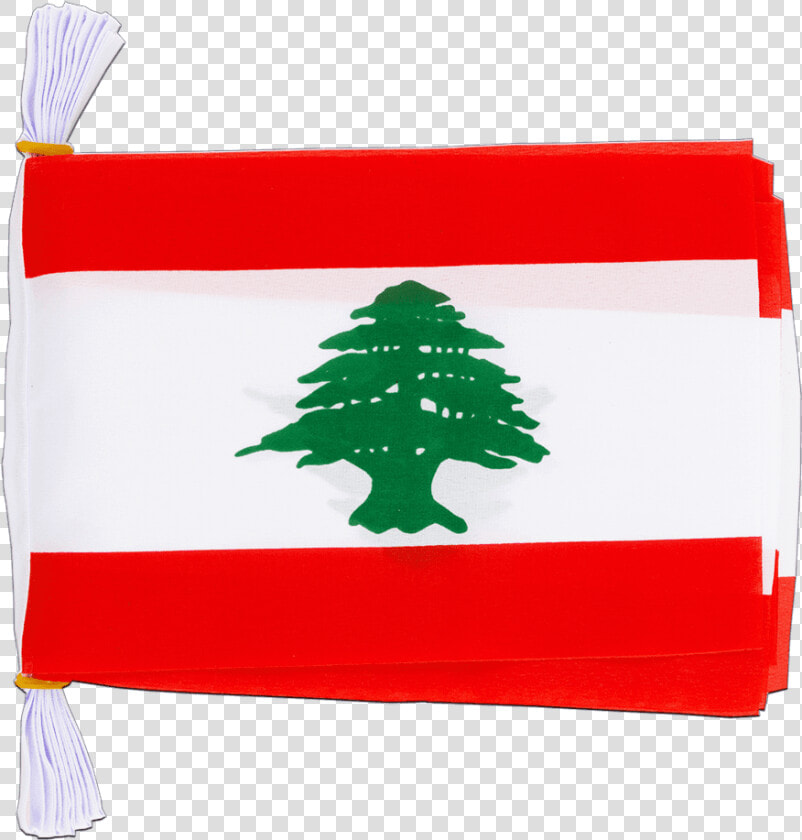 Transparent Lebanese Flag Clipart   Lebanon Flag  HD Png DownloadTransparent PNG