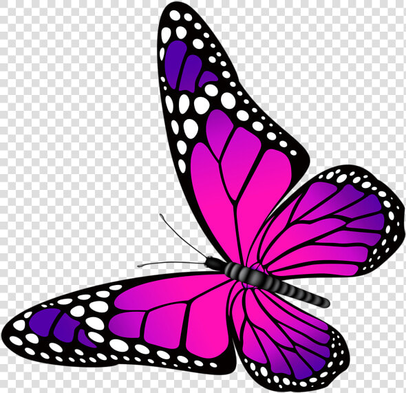 Monarch Butterfly Clipart Png Full Hd   Butterfly Pink And Purple  Transparent PngTransparent PNG