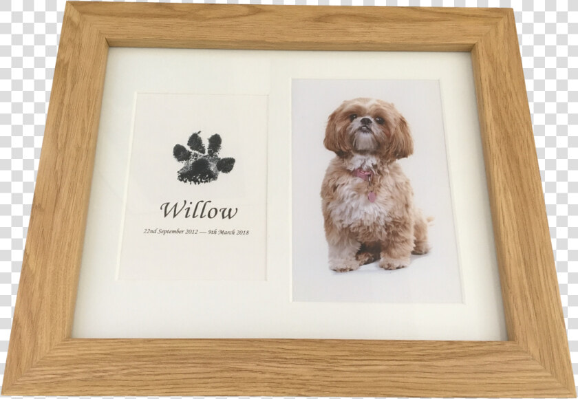 Dog Paw Print In Wood Frame With Photograph Using Inkless   Paw  HD Png DownloadTransparent PNG