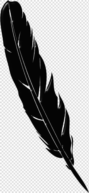 Writing Quill Feather Pen Vector  HD Png DownloadTransparent PNG