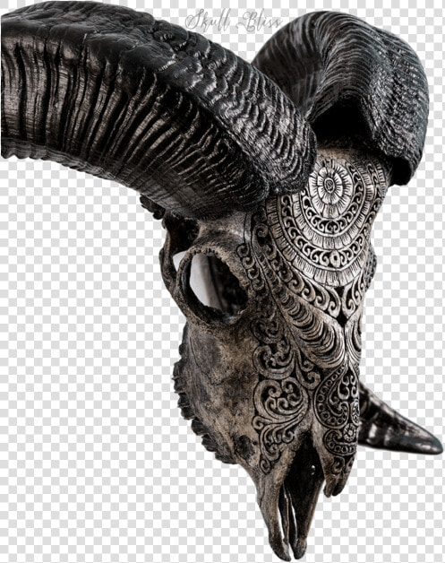 Carved Ram Skull   Bat  HD Png DownloadTransparent PNG