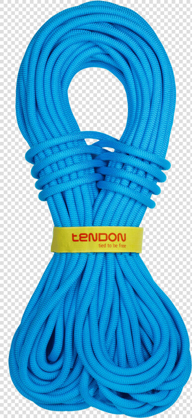 Tendon Master   Scarf  HD Png DownloadTransparent PNG