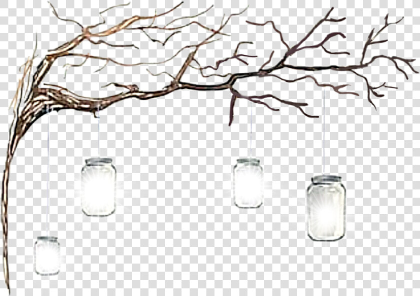  masonjars  hanging  lights  jars  lanterns  tree  glowing   Wine Glass  HD Png DownloadTransparent PNG