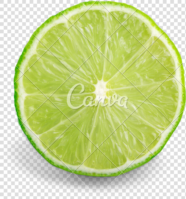 Transparent Lemon Slices Clipart   Persian Lime  HD Png DownloadTransparent PNG