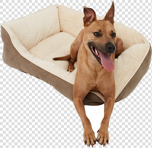 Black Friday Deals Frisco Pet Bed   Dog Yawns  HD Png DownloadTransparent PNG