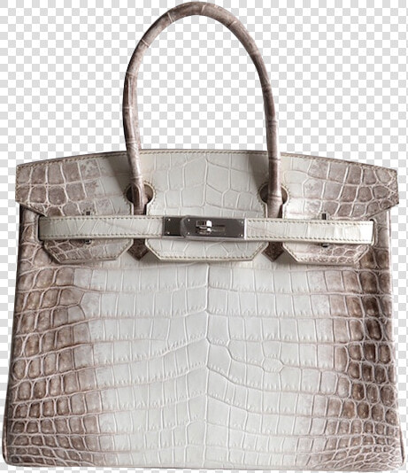 Niloticus Crocodile Himalaya Birkin 30  HD Png DownloadTransparent PNG