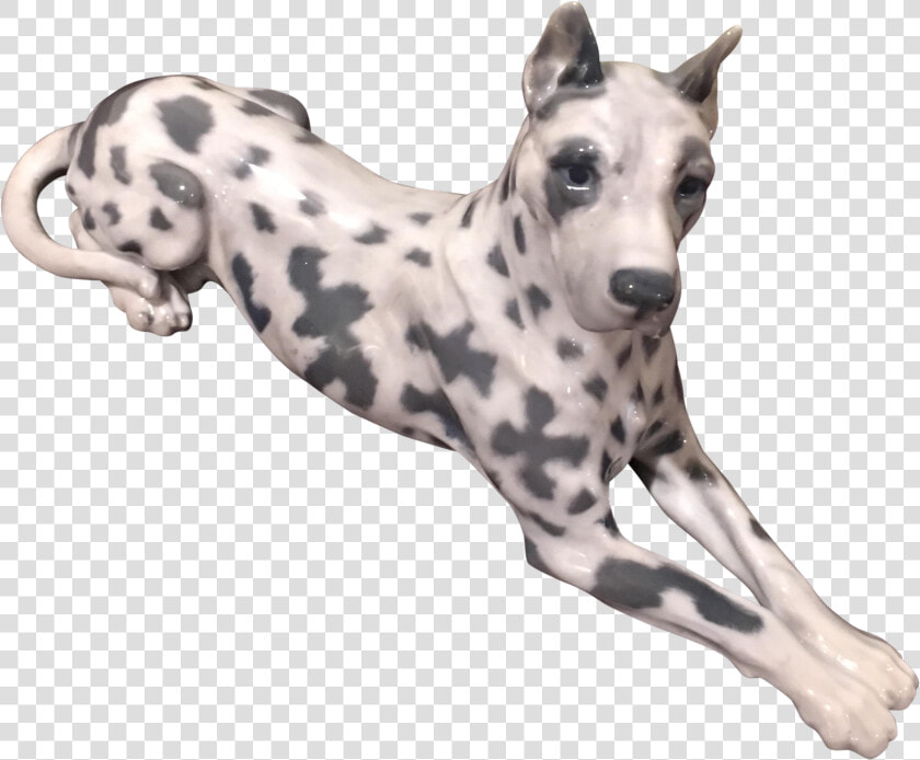 Dalmatian Dog Whippet Great Dane Dog Breed Italian   Dalmastion Grey Hound  HD Png DownloadTransparent PNG