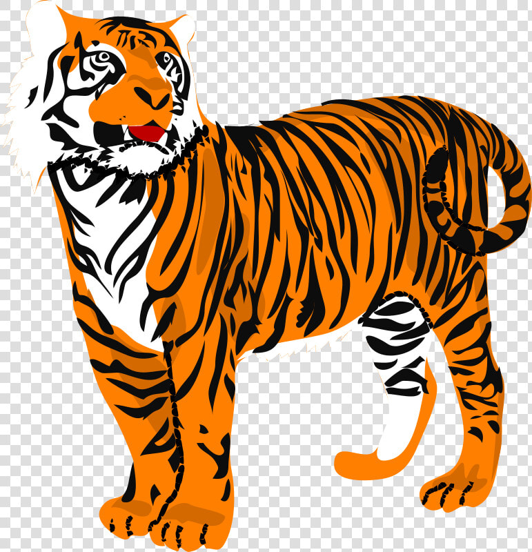 Baby Tiger Face Clip Art   Tiger Clipart Transparent Background  HD Png DownloadTransparent PNG