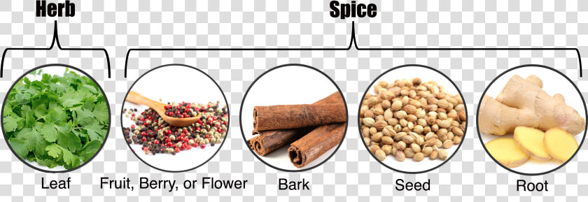 Herbs Vs Spices  HD Png DownloadTransparent PNG