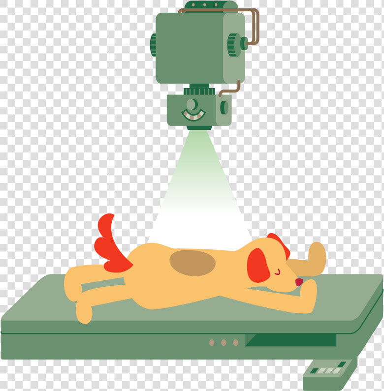 Xray And Dog   X Ray Dog Png  Transparent PngTransparent PNG