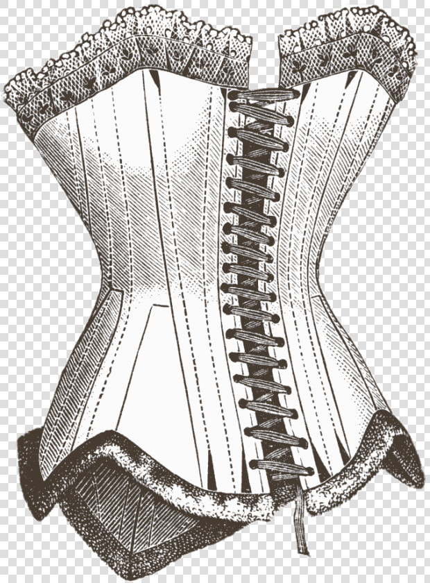 Corset Illustration   Victorian Corset Png  Transparent PngTransparent PNG