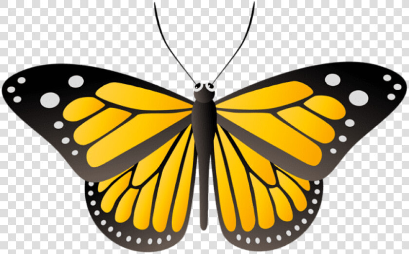 Butterfly Yellow Png   Yellow Clipart Butterfly Transparent  Png DownloadTransparent PNG