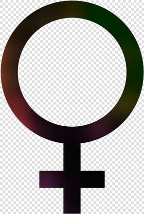 Transparent Feminism Png   Circle  Png DownloadTransparent PNG