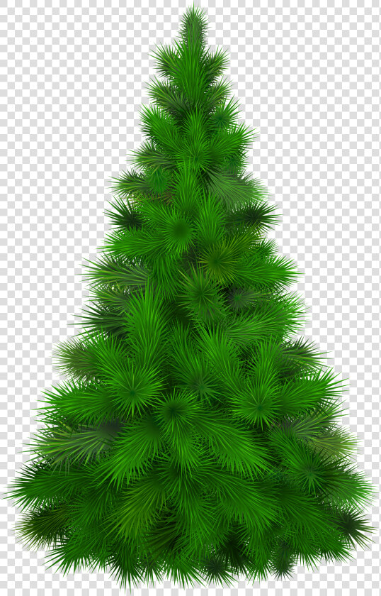 Green Pine Tree Png Clip Art Pine Tree    Pine Tree Clipart Png  Transparent PngTransparent PNG