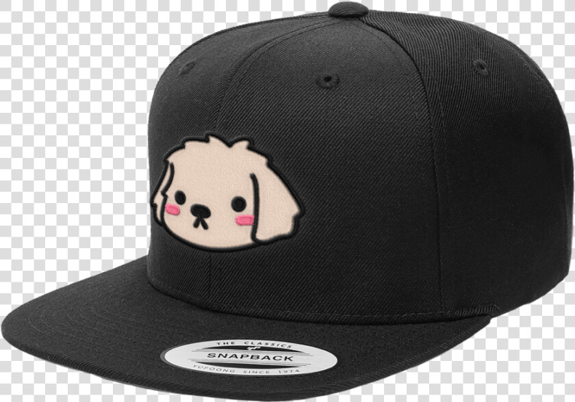 Snapback Hats Png  Transparent PngTransparent PNG