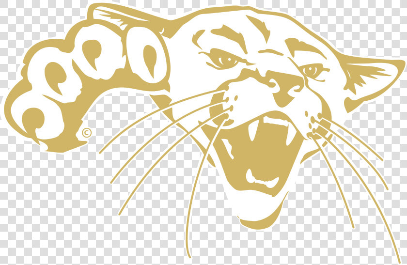 Transparent Cougar Logo Png   Barton Community College Cougars  Png DownloadTransparent PNG