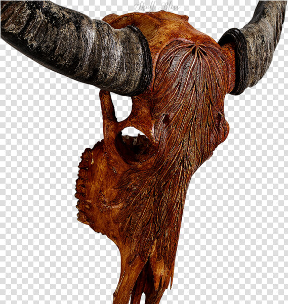 Animal Skulls Cattle Horn   Bull  HD Png DownloadTransparent PNG