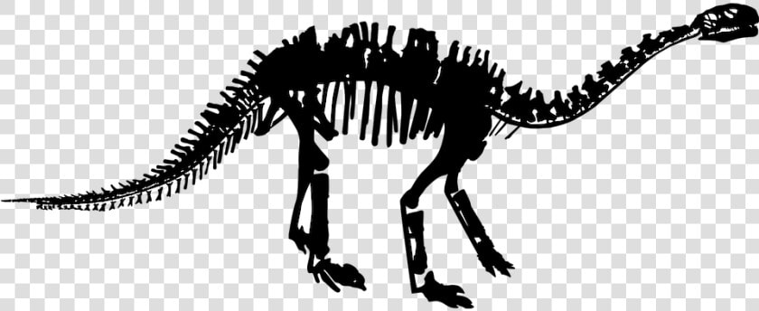 Tyrannosaurus  HD Png DownloadTransparent PNG