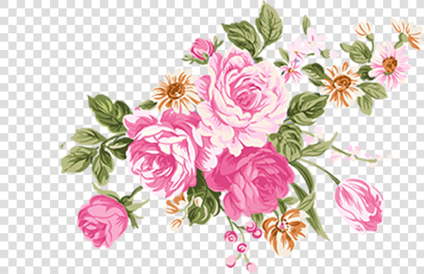 Flower Illustrations Of Rose High Definition Png Material   Vector Flower Illustration Png  Transparent PngTransparent PNG